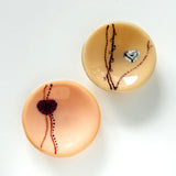 Trinket Dish | Champagne - Set of 2