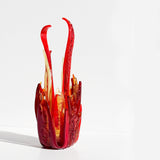Glass Sculpture | Flame of Life