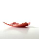 Small plate | Outback 2