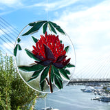 Australian native: Waratah