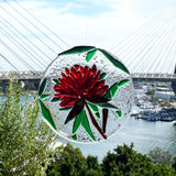 Circle Suncatcher | Waratah - Small