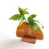 Bud vase | Various Transparent colours