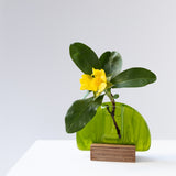 Bud vase | Green - Small