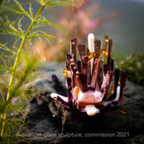 Aquasculpture | Coral (Made to order)