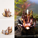 Aquasculpture | Coral (Made to order)
