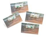 Stud earrings containing grains of beach sand, ethically and thoughtfully sourced from Sydney beaches