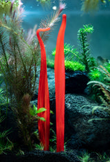 Aquasculpture | Deep Sea Vent (Made to order)