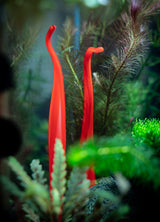 Aquasculpture | Deep Sea Vent (Made to order)