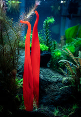 Aquasculpture | Deep Sea Vent (Made to order)