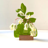 Bud vase | Green - Small