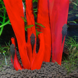 Aquasculpture | Deep Sea Vent (Made to order)