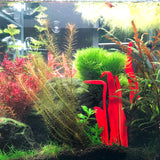 Aquasculpture | Deep Sea Vent (Made to order)