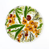 Beloved golden wattle, bright and colourful