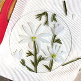 Circle Suncatcher | Flannel Flower - Small