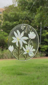 Circle Suncatcher | Flannel Flower - Small