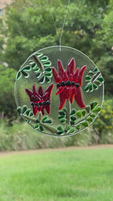 Circle Suncatcher | Sturt Desert Pea - Small
