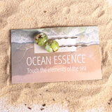 Ocean Essence | Seagrass Meadow hair pins (Set of 2)