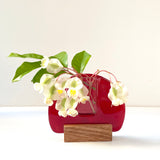 Bud vase | Red - Small