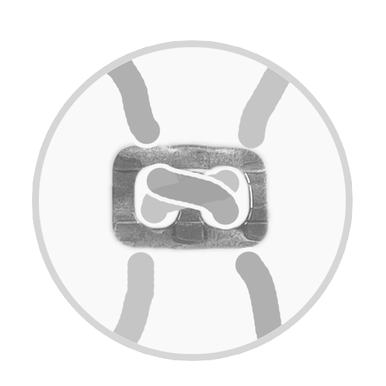 Shirt buckle + Scarf holder | Uni-colour semi-transparent
